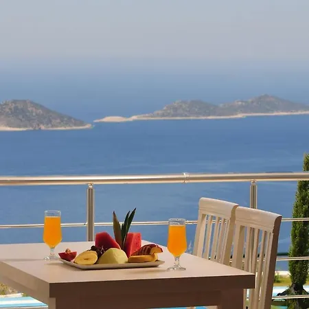 Violetta Lavanta Kalkan * קס