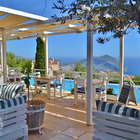 Violetta Lavanta Kalkan *