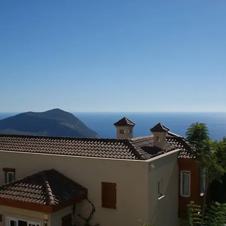 Violetta Lavanta Kalkan
