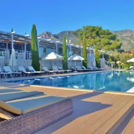 Violetta Lavanta Kalkan