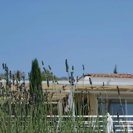 Apartment Violetta Lavanta Kalkan Kas