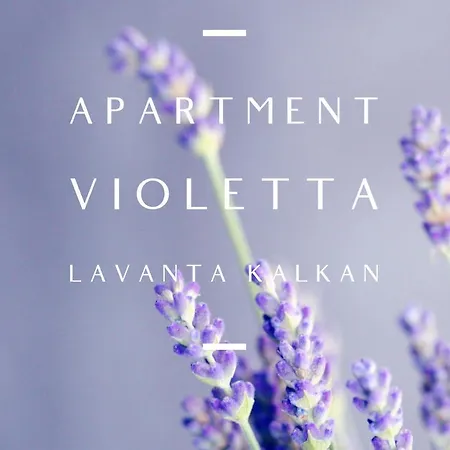Violetta Lavanta Kalkan *